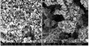 FIGURE 1: FESEM images of doped PANI-ES at (10 µm).
